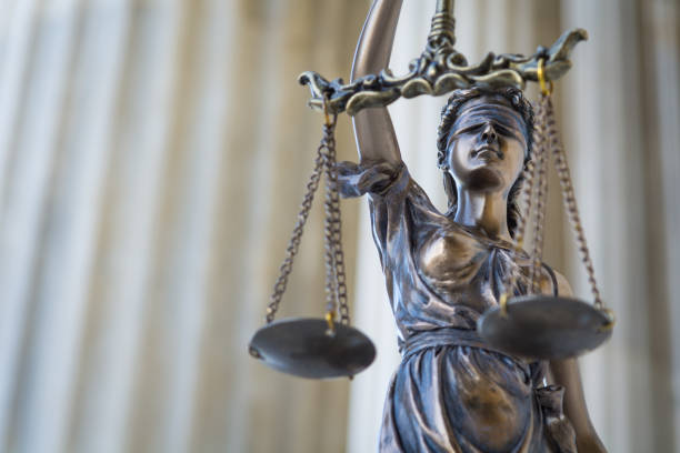 Istockphoto 1494529981 612x612 1